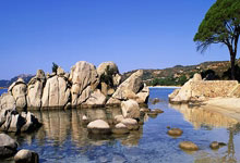 臀部塑形秘籍，轻松打造完美臀型(臀部塑形秘籍,轻松打造完美臀型视频)